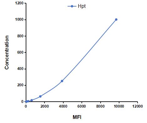 CMA817Bo.jpg