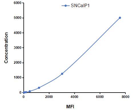 Multiplex Assay Kit for Synuclein Alpha Interacting Protein 1 (SNCaIP1) ,etc. by CBA (Cytometric Bead Array)