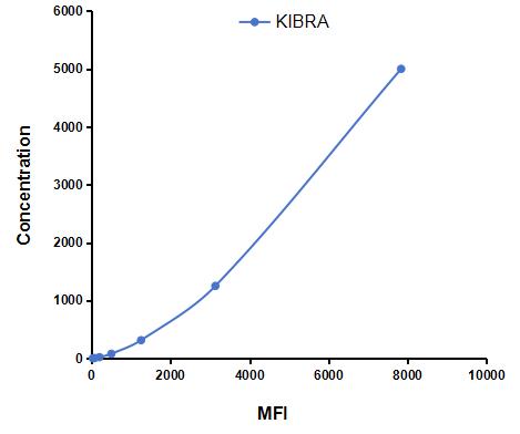 Multiplex Assay Kit for Kidney And Brain Protein (KIBRA) ,etc. by CBA (Cytometric Bead Array)