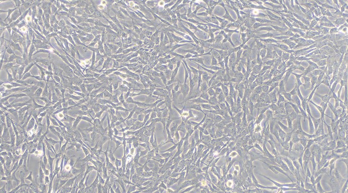 CSI148Po01.jpg