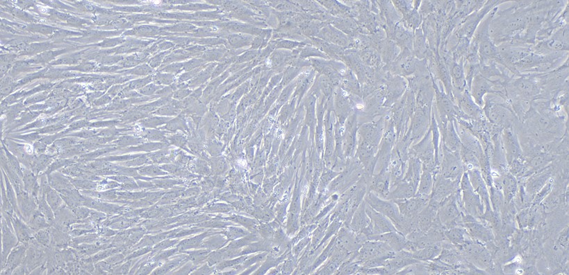CSI263Cp01.jpg