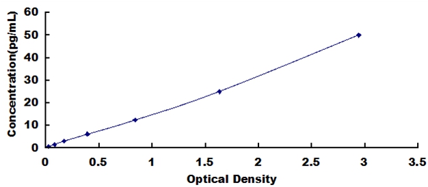 HEA071Cp.jpg