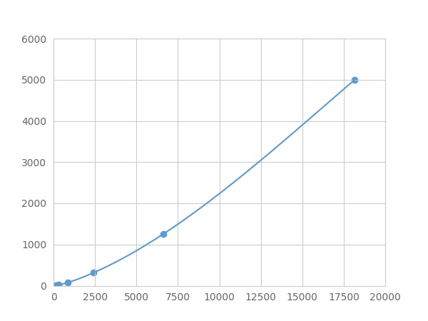 LMC036Eq.jpg