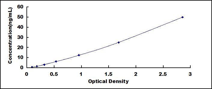 Mini Samples ELISA Kit for Autophagy Related Protein 5 (ATG5)