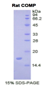 RPB197Ra01.jpg