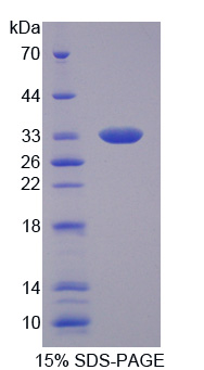 RPM405Mu01.jpg