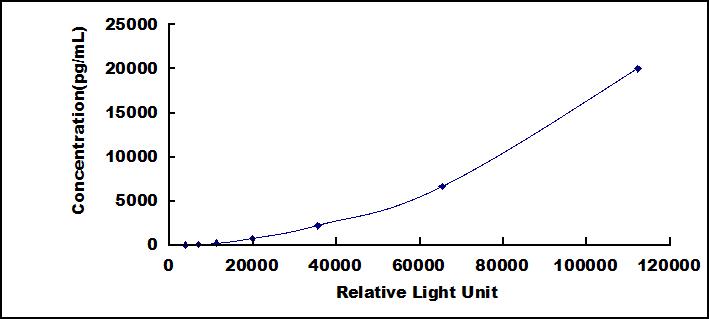 CLIA Kit for Matrix Metalloproteinase 1 (MMP1)