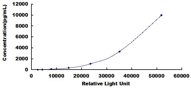 CLIA Kit for Matrix Metalloproteinase 1 (MMP1)