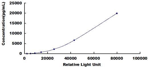 CLIA Kit for Matrix Metalloproteinase 2 (MMP2)