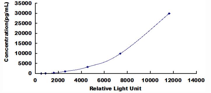 CLIA Kit for Matrix Metalloproteinase 9 (MMP9)