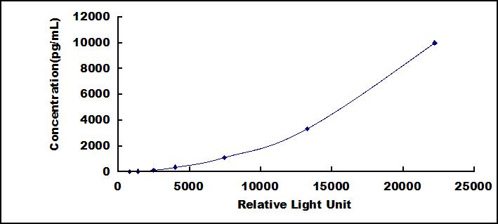 SCA605Hu.jpg