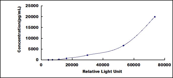 CLIA Kit for Cytokeratin Fragment Antigen 21-1 (CYFRA21-1)