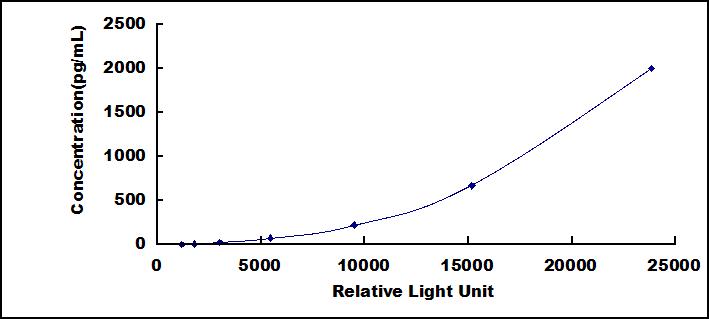 SCB309Hu.jpg