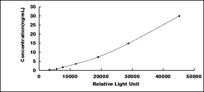 SCE135Hu.jpg