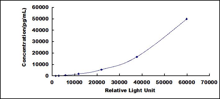 CLIA Kit for Receptor Tyrosine Kinase Like Orphan Receptor 1 (ROR1)