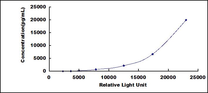 SCH480Hu.jpg