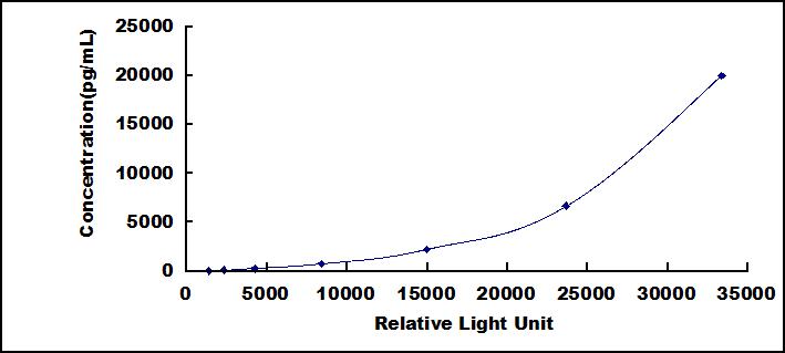 SCJ370Hu.jpg