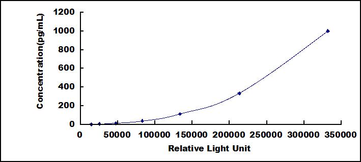 SCL621Hu.jpg