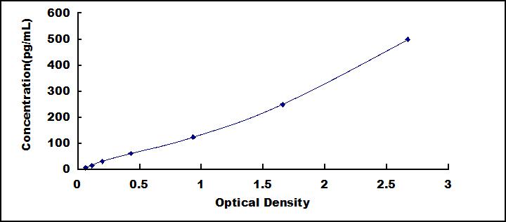 SEA056Eq.jpg