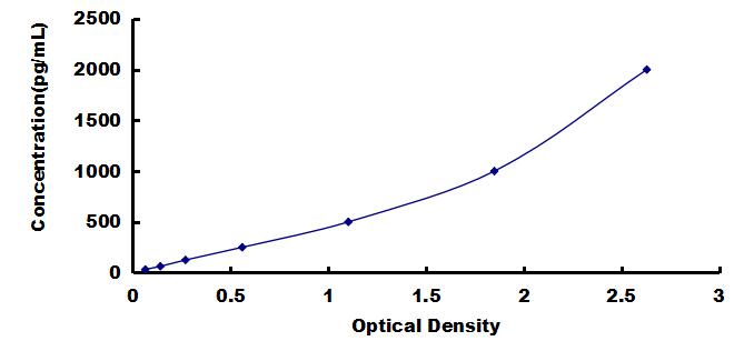 ELISA Kit for Matrix Metalloproteinase 13 (MMP13)