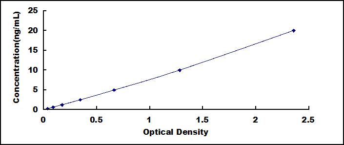 ELISA Kit for Fibrillin 1 (FBN1)