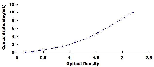 ELISA Kit for Chemokine C-X-C-Motif Ligand 16 (CXCL16)