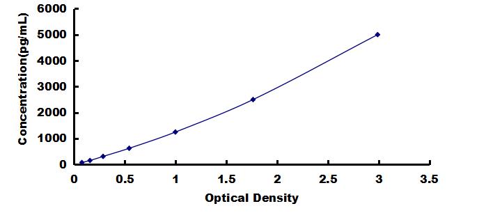 ELISA Kit for Gamma-synuclein (SNCG)