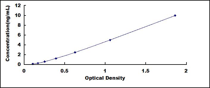 ELISA Kit for Gamma-synuclein (SNCG)