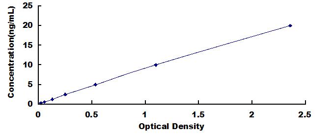 ELISA Kit for Signal Regulatory Protein Beta 1 (SIRPb1)