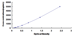 SEC036Eq.jpg