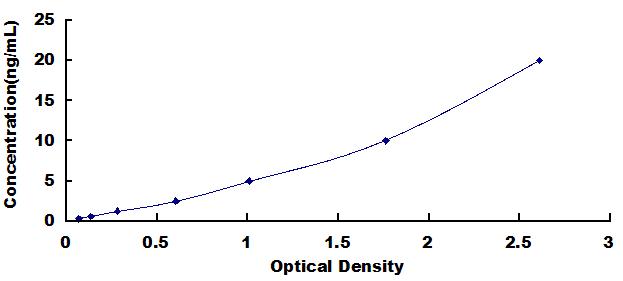 ELISA Kit for Actinin Alpha 1 (ACTN1)