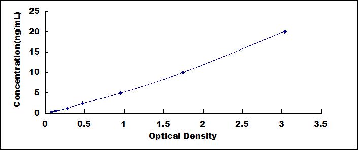 ELISA Kit for 2',3'-Cyclic Nucleotide 3'-Phosphodiesterase (CNP)