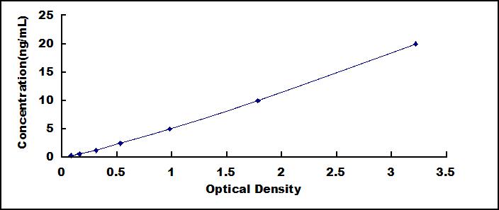 ELISA Kit for Caspase 6 (CASP6)