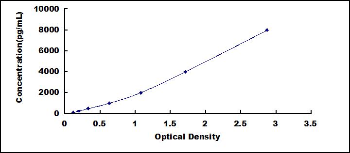 SED066Hu.jpg