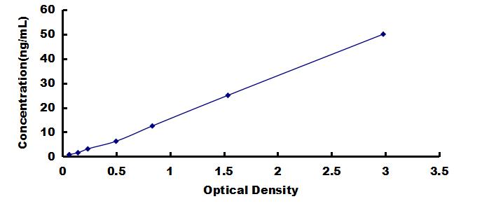 ELISA Kit for Sjogren Syndrome Antigen A1 (SSA1)