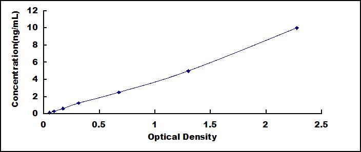 SEE108Hu.jpg