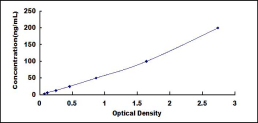 SEE131Ra.jpg