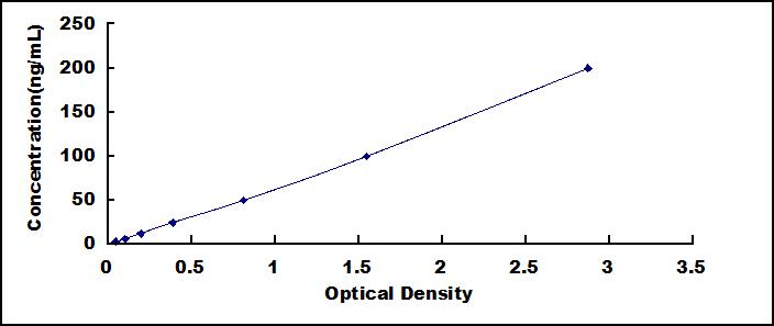 SEE189Ra.jpg