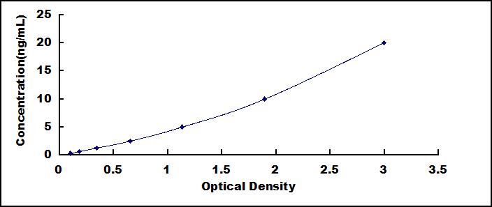SEE190Hu.jpg