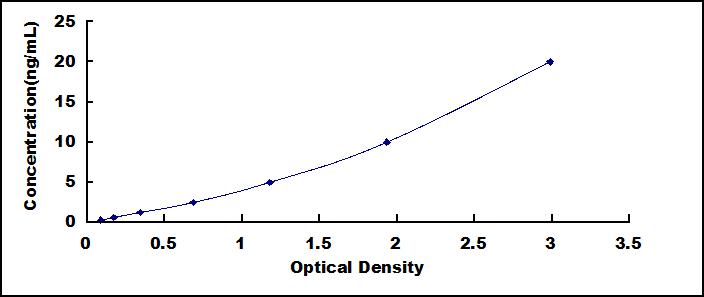 SEE345Hu.jpg