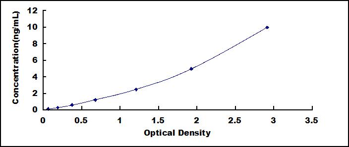 SEE359Ra.jpg