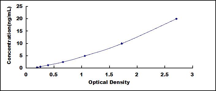 SEE536Hu.jpg