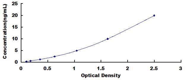 SEE580Hu.jpg