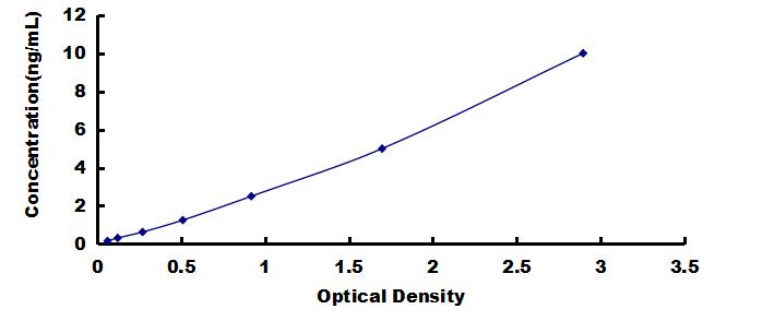 ELISA Kit for Ribosomal Protein, Large, P2 (RPLP2)