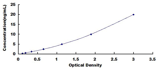 ELISA Kit for 2',5'-Oligoadenylate Synthetase Like Protein (OASL)