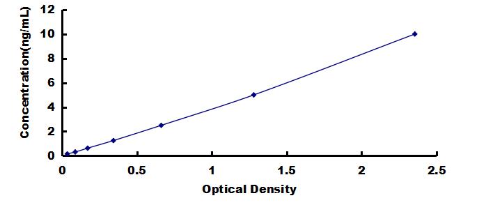 ELISA Kit for Transketolase (TKT)