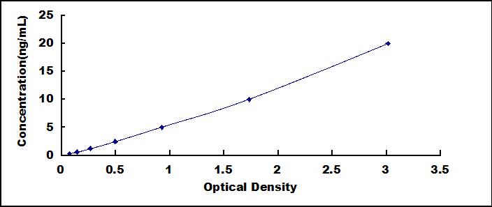 ELISA Kit for Stratifin (SFN)