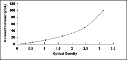 ELISA Kit for Hephaestin (HEPH)