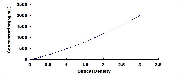 ELISA Kit for Autophagy Related Protein 12 (ATG12)