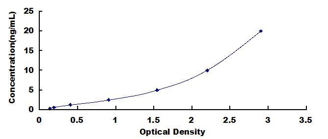 ELISA Kit for NADH Dehydrogenase, Quinone 1 (NQO1)